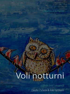 cover image of Voli notturni